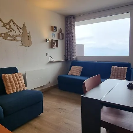Appartement Confortable - Accès Pistes, Animaux Admis - Fr-1-181-2712 La Plagne